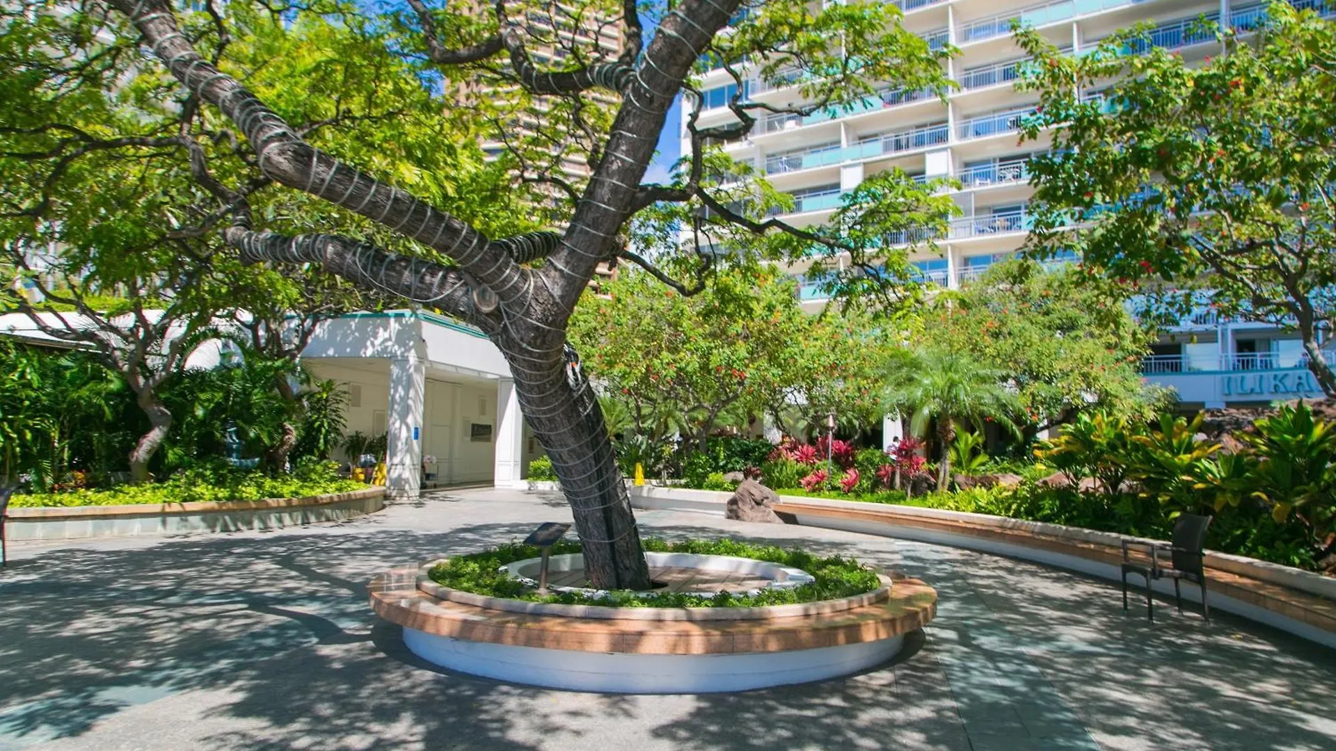 Ilikai Tower 1202 Yacht Harbor View 1Br Apartment Honolulu